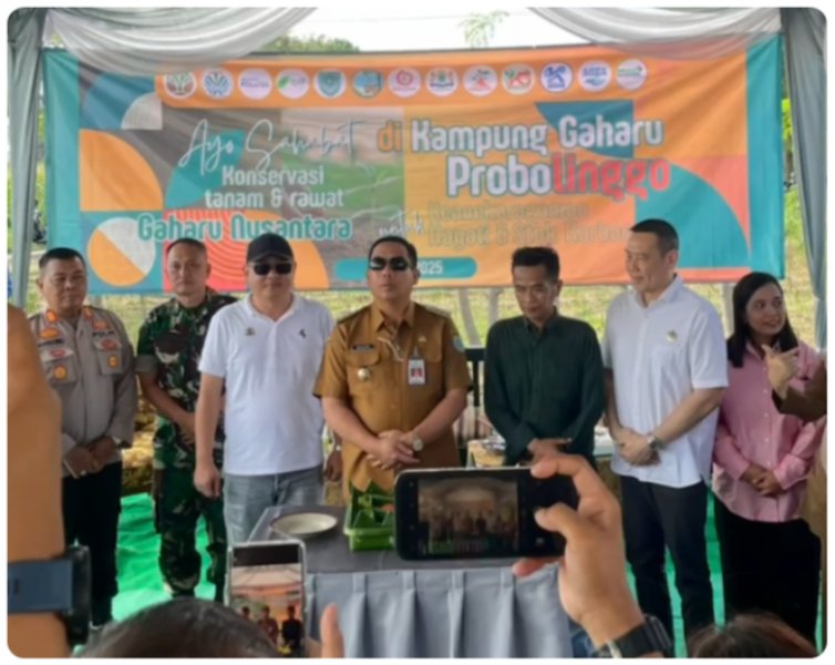 kadin-probolinggo-Ivan Ketua KADIN Kabupaten Probolinggo Dukung Investasi Hijau lewat Gaharu Nusantara