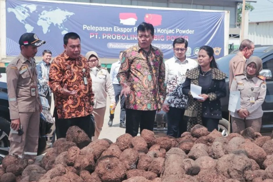 kadin-probolinggo-Kabupaten Probolinggo ekspor Tepung Porang ke China